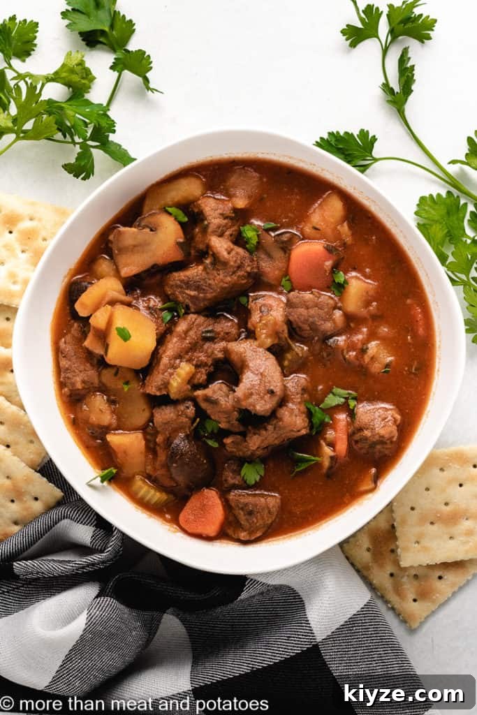 Hearty Beef Stew in Rich Tomato Sauce 3 An aerial view of the finished stew with crackers.
