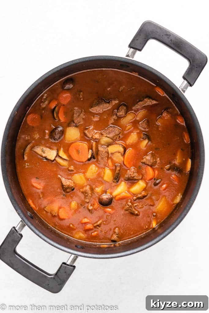 Hearty Beef Stew in Rich Tomato Sauce 9 The stew has cooked down and is ready to serve.