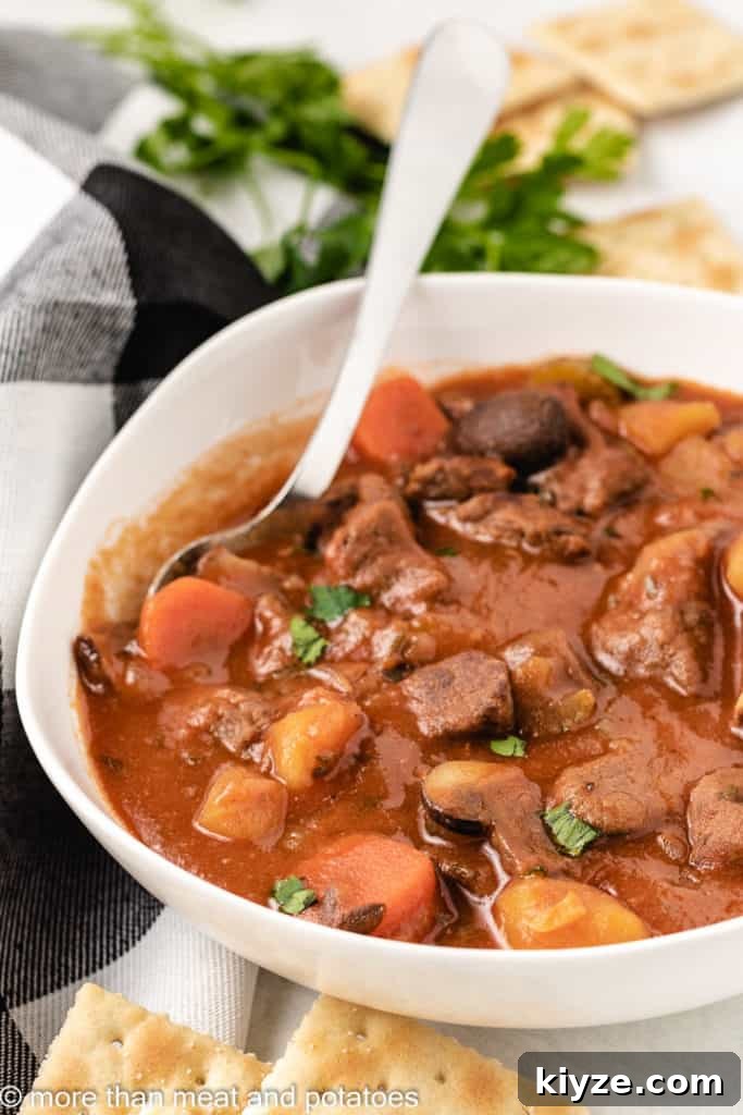 Hearty Beef Stew in Rich Tomato Sauce 10 A metal spoon dipped into a bowl of stew.