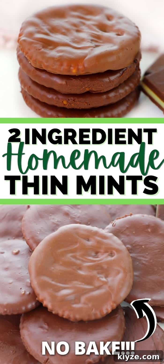 2 Ingredient Homemade Thin Mints
