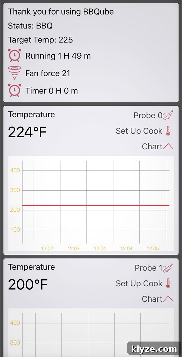 Pit Controller Review: BBQube TempMaster Pro Smoker Controller — Full Test & Tips 4 Temperature readout on the BBQube