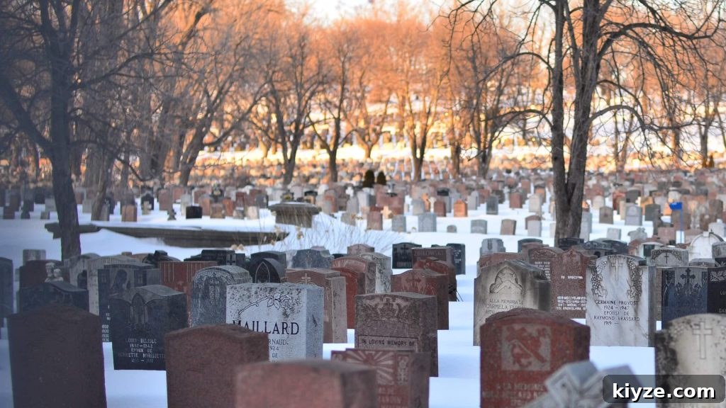 Top Genealogy Apps to Organize Your Family Tree 6 Check out these free genealogy apps that will keep you organized as you search for your ancestors. Save time and be more efficient in your genealogy research.