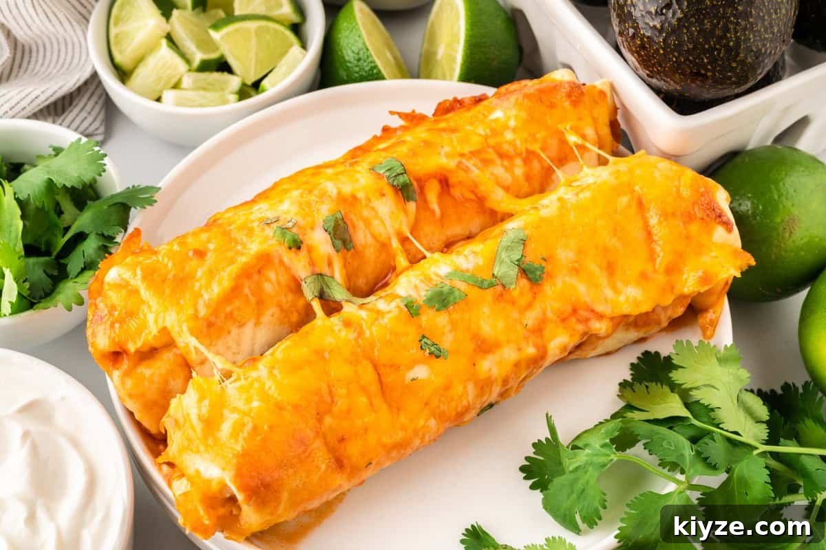 Sweet Potato and Black Bean Enchiladas with Chipotle Sauce 3 two enchiladas on a plate