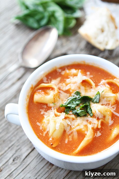 10 Comforting Soup Recipes to Warm You All Year 7 top soup recipes