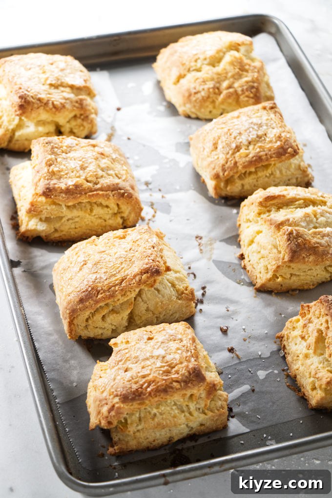 Flaky Sour Cream Biscuits Recipe for Perfect Homemade Biscuits 9 Eight sour cream biscuits on a hot baking sheet.