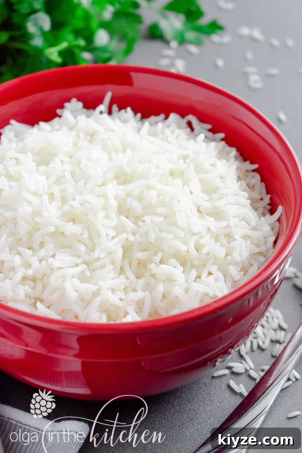 Perfect Fluffy White Rice: Simple Stovetop and Rice Cooker Methods 2 Perfect white rice on a plate