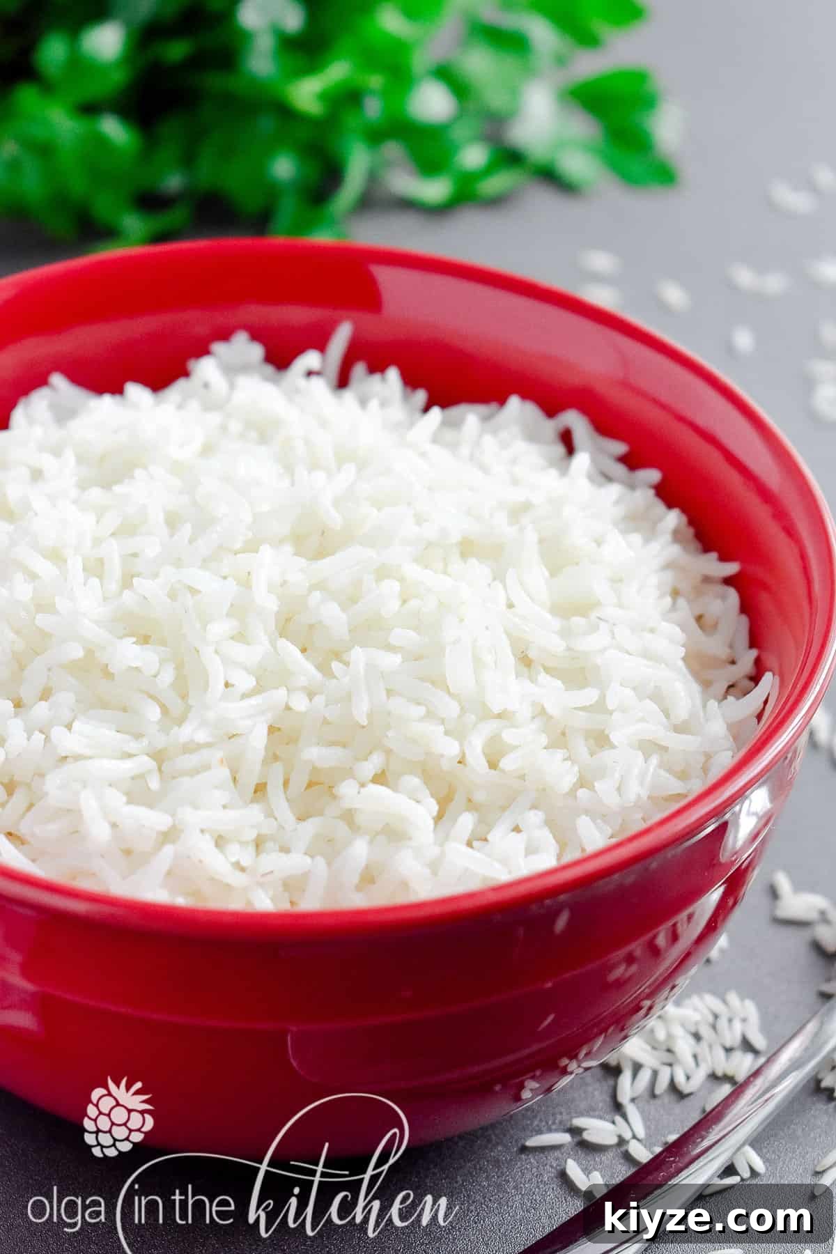 Perfect Fluffy White Rice: Simple Stovetop and Rice Cooker Methods 6 Fluffy rice ready to serve