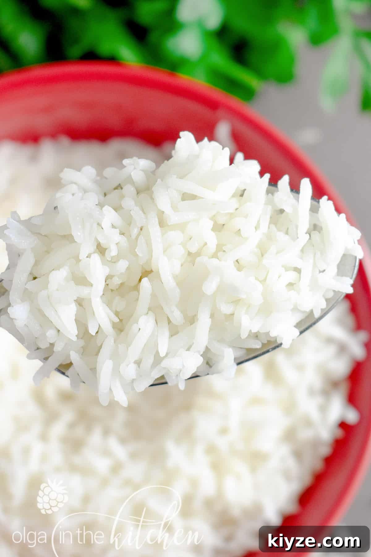 Perfect Fluffy White Rice: Simple Stovetop and Rice Cooker Methods 7 Bowl of rice alongside mains