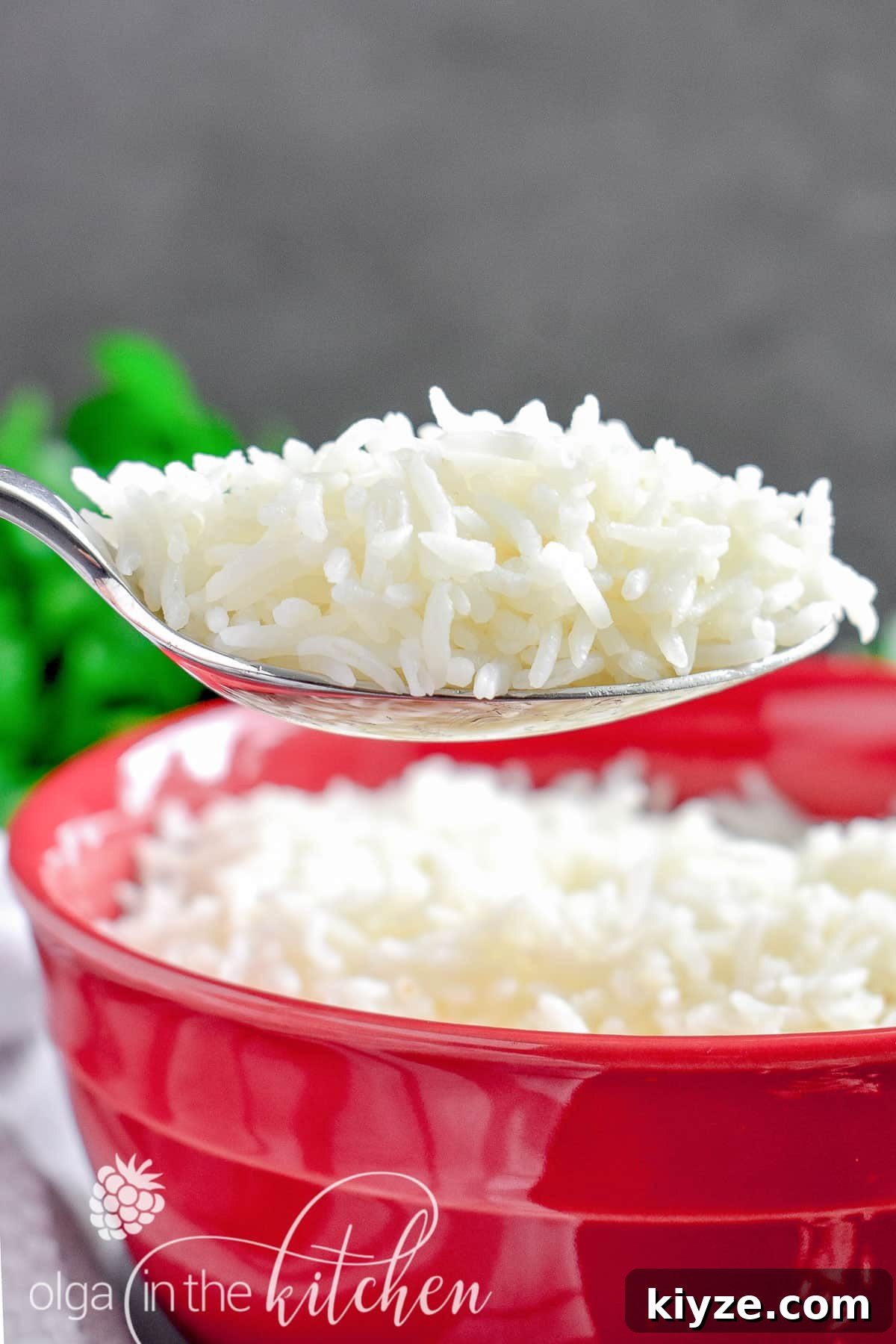 Perfect Fluffy White Rice: Simple Stovetop and Rice Cooker Methods 8 Rice as part of a meal