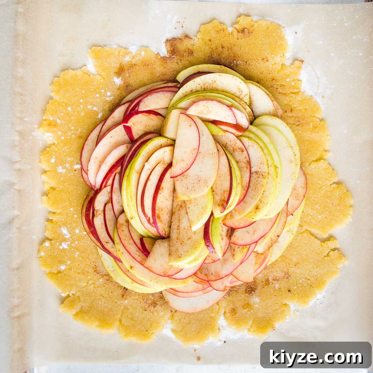 Pie dough rolled into a disc and filled with circles of sliced apples. 