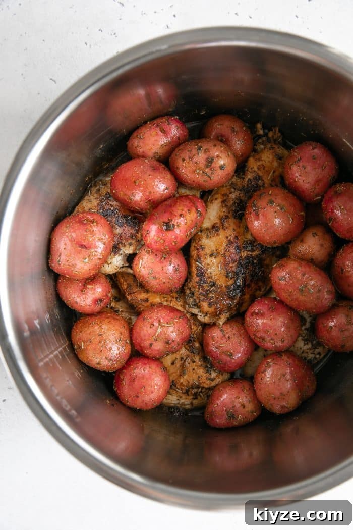 Instant Pot Chicken and Potatoes Dinner Recipe 5 Seared chicken breasts and baby red potatoes in a large Instant Pot.