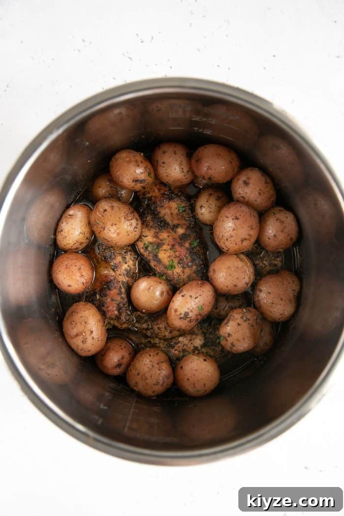 Instant Pot Chicken and Potatoes Dinner Recipe 6 Fully cooked chicken breasts and potatoes in an Instant Pot.