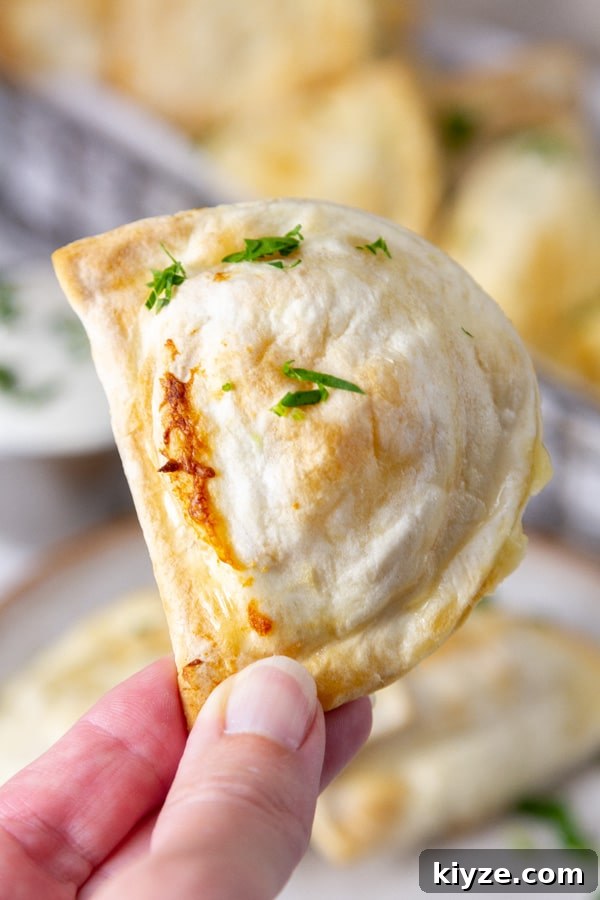Crispy Air Fryer Pierogies with Garlic Butter Dipping Sauce 3 a hand holding an air fried pierogie.