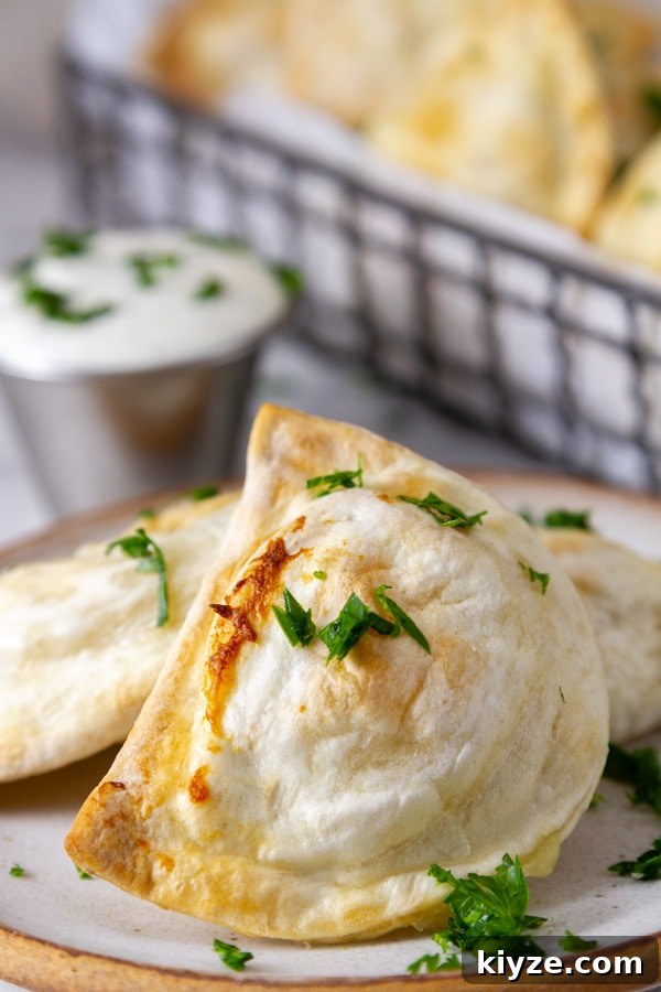 Crispy Air Fryer Pierogies with Garlic Butter Dipping Sauce 6 a pierogie cooked in an air fryer on a plate next to ranch dressing in front of a wire basket with more pierogies.
