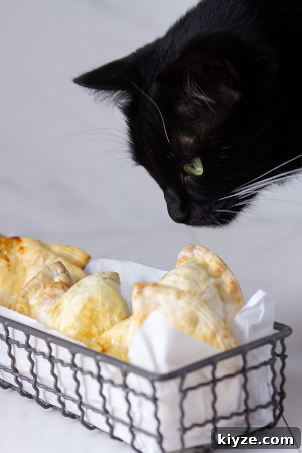 Crispy Air Fryer Pierogies with Garlic Butter Dipping Sauce 7 a black cat looking at a basket full of pierogies.