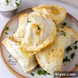 Crispy Air Fryer Pierogies with Garlic Butter Dipping Sauce 9 pierogies stacked on a plate and garnished with chopped parsley.