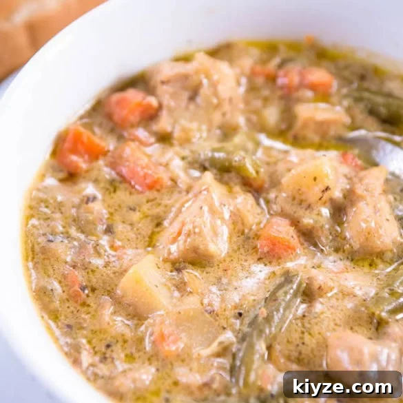 Hearty Homemade Chicken Stew Recipe for Cozy Weeknight Dinners 3 img 6181 5