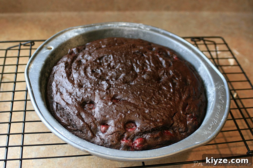 Decadent Chocolate Cherry Layer Cake Recipe 4 cake in pan