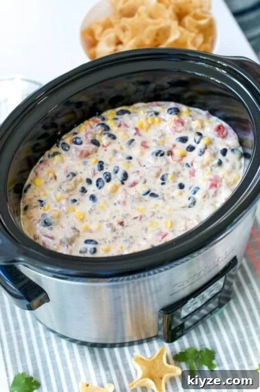 Creamy Cheesy Refried Bean Dip for Parties and Game Day 13 img 65520 12
