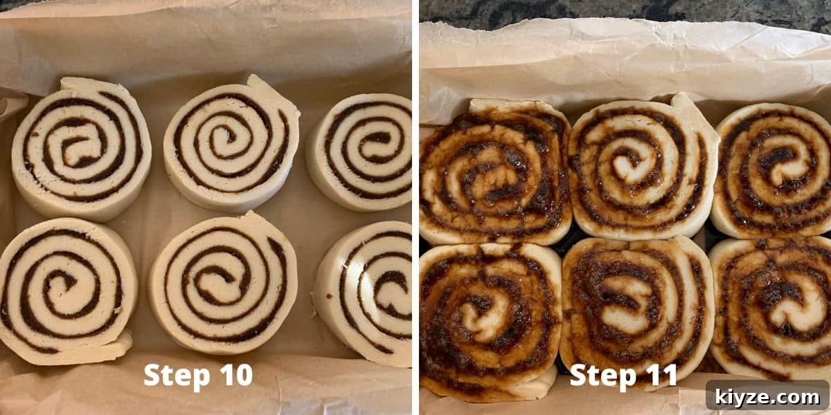 Gluten-Free Gingerbread Cinnamon Rolls Recipe 8 Photos showing how much the cinnamon rolls rose in the pan.