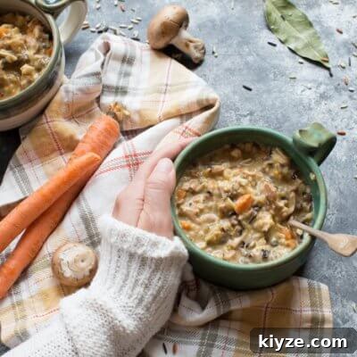 Turkey Wild Rice Soup image