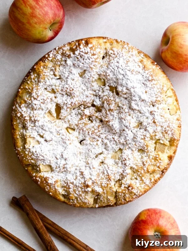 Italian Cannoli Cake Recipe: Classic Sicilian Dessert Guide 20 Italian Apple Cake close up of the cake with powdered sugar
