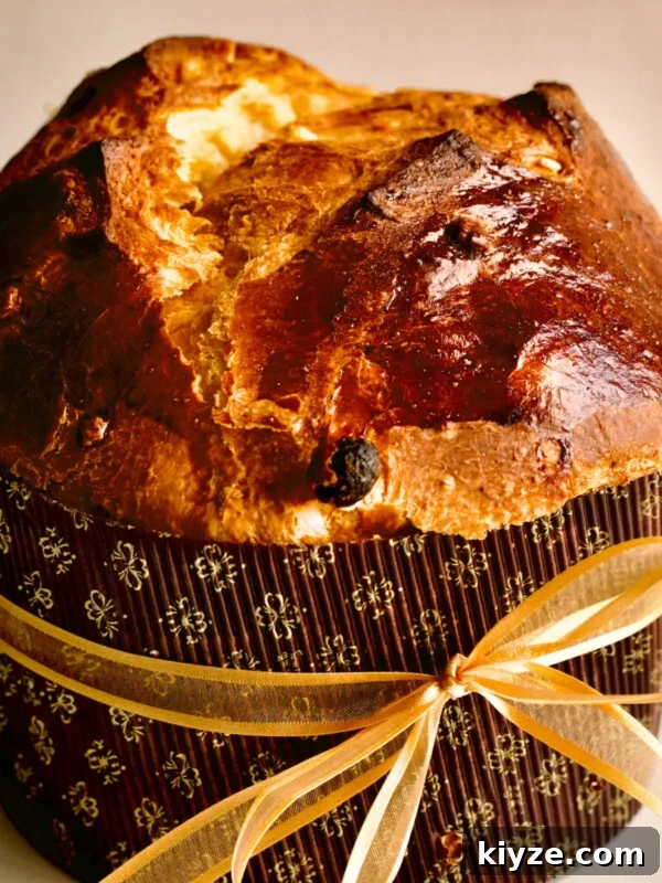 Italian Cannoli Cake Recipe: Classic Sicilian Dessert Guide 23 Panettone in a paper wrapper tied with a bow.