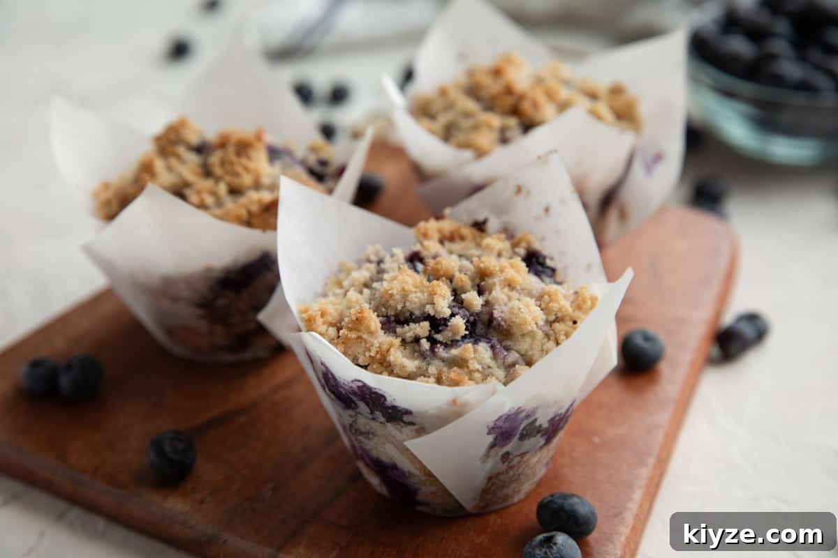 3 Blueberry muffins topped with streusel and extra blueberries.