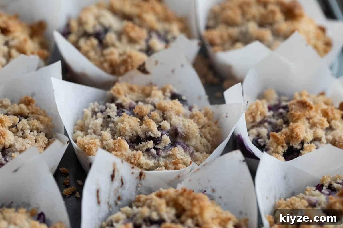 Blueberry Muffin Recipe: Moist, Bursting-with-Fruit Breakfast Muffins 8 Blueberry muffins topped with extra blueberries and crumb topping in a muffin tin.