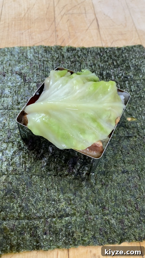Pork Adobo Musubi Recipe: Filipino Rice Sandwich with Tangy Soy-Vinegar Pork 10 Serving musubi