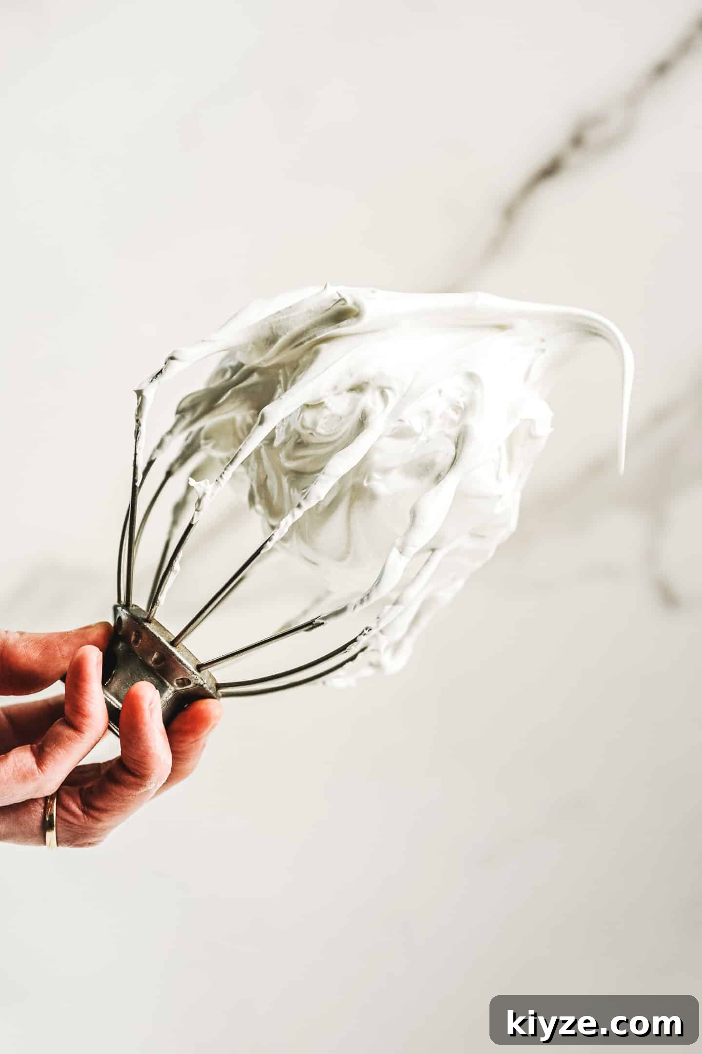 Swiss Meringue Recipe: Smooth, Glossy Meringue for Cakes and Frosting 2 fouet avec meringue suisse