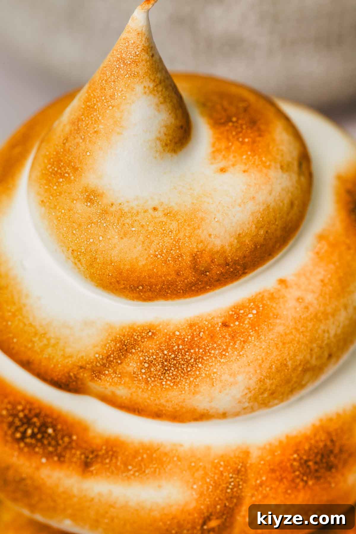 Swiss Meringue Recipe: Smooth, Glossy Meringue for Cakes and Frosting 14 meringue suisse toastée