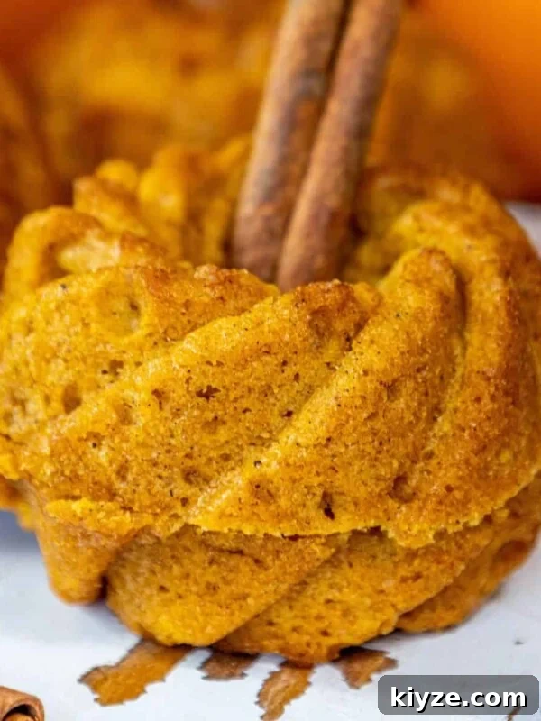 Moist spiced pumpkin bundt cakes with cinnamon sticks