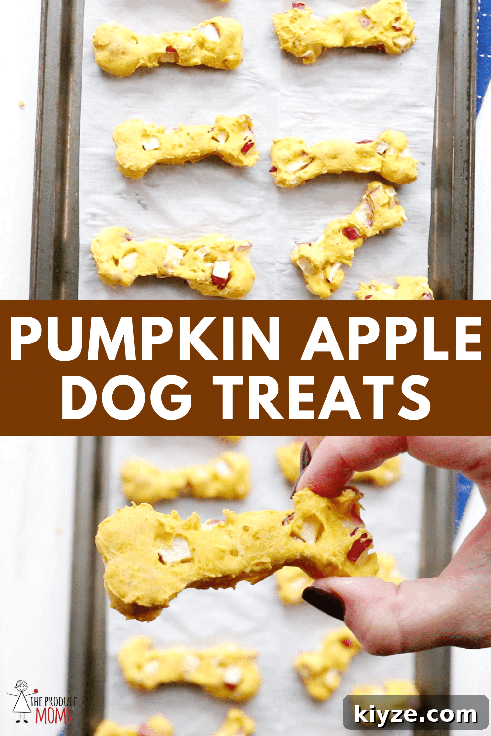 Pumpkin Apple Dog Treats with 5 Simple Ingredients 4 Pumpkin Apple Dog Treats