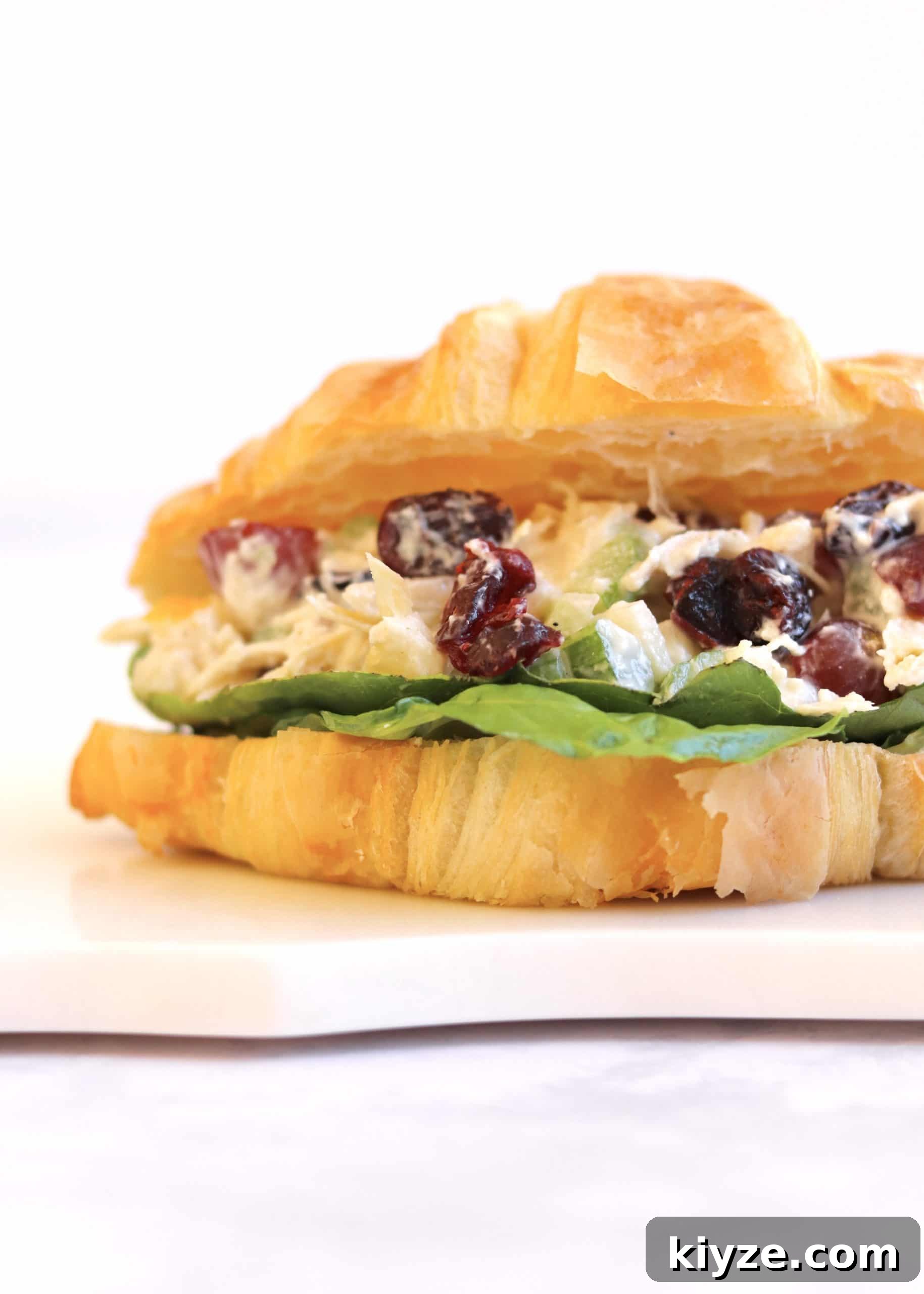 Creamy Greek Yogurt Chicken Salad Recipe with Herbs and Lemon 5 Chicken salad sandwich close up