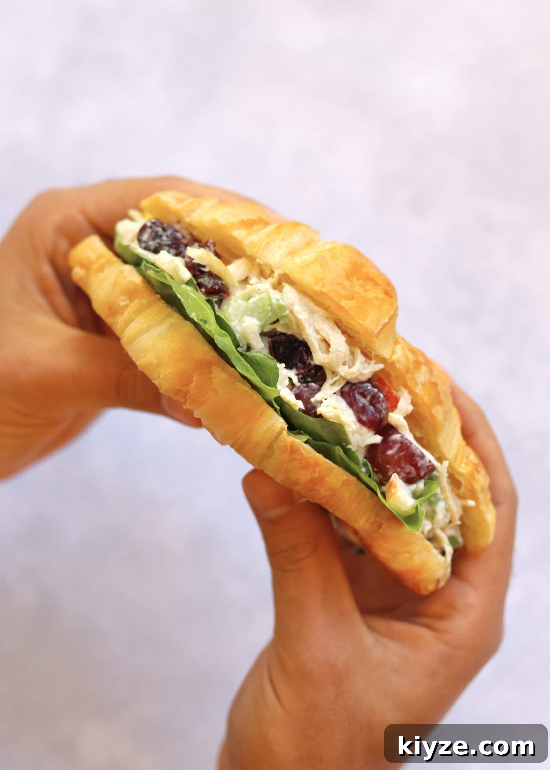 Creamy Greek Yogurt Chicken Salad Recipe with Herbs and Lemon 6 Chicken salad sandwich