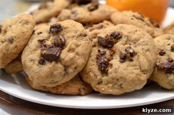 Orange Chocolate Ribbon Cookies Recipe — Zesty Cocoa Swirls 2 chocolate cookies on a plate