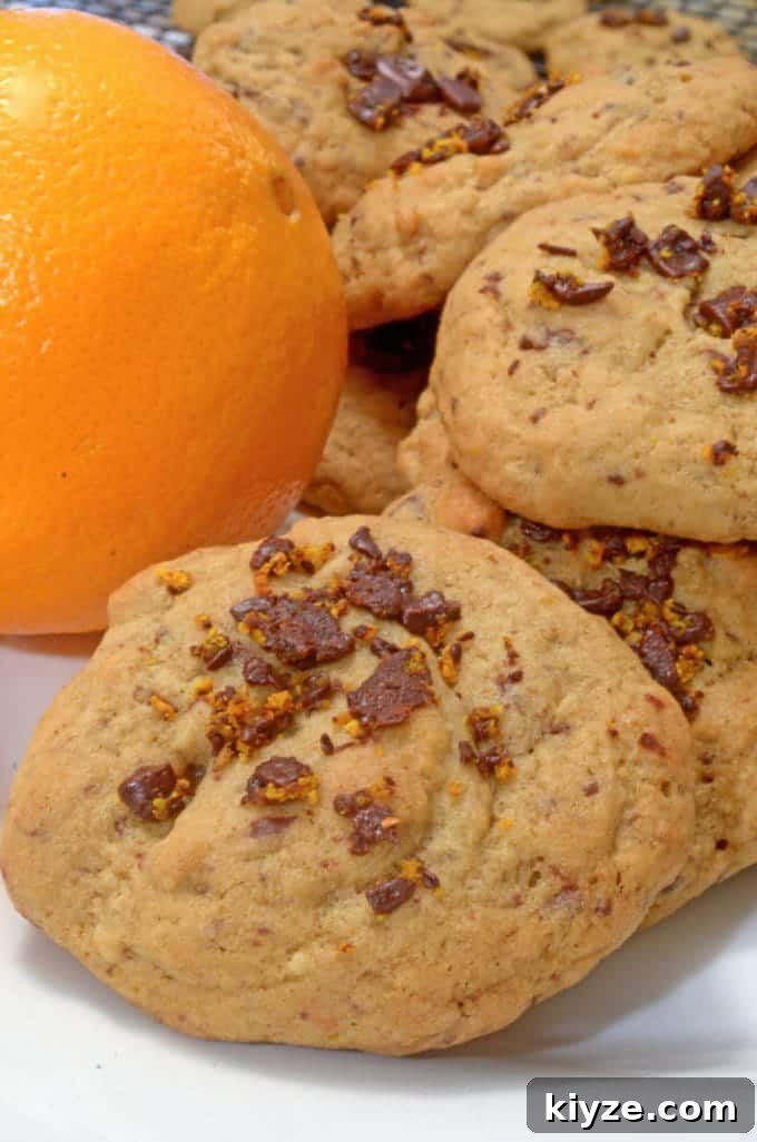Orange Chocolate Ribbon Cookies Recipe — Zesty Cocoa Swirls 5 a bunch of cookies and an orange