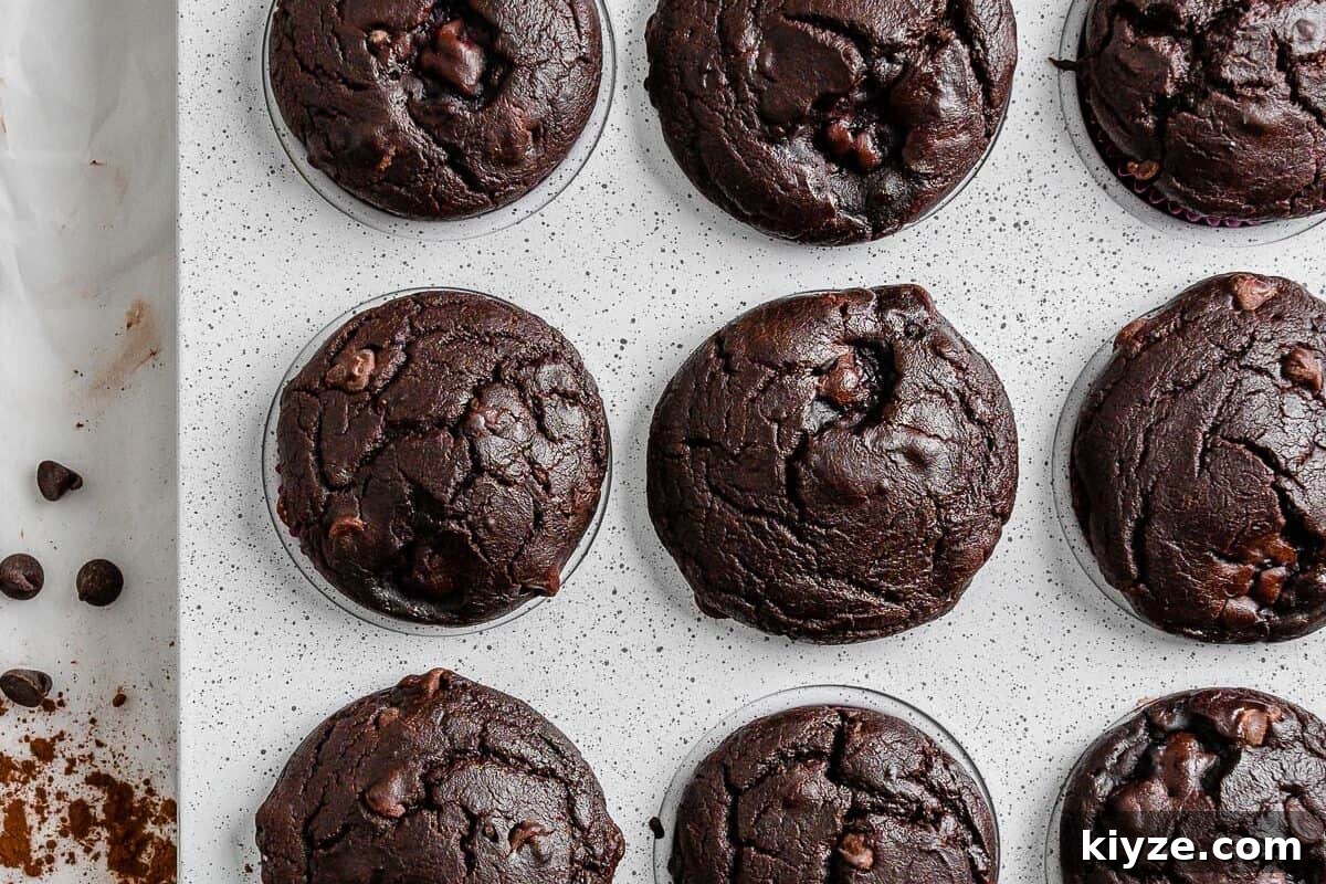 Blackberry Chocolate Cupcakes Recipe with Rich Ganache Filling 2 completed Blackberry Chocolate Cupcakes without icing on top in muffin tin