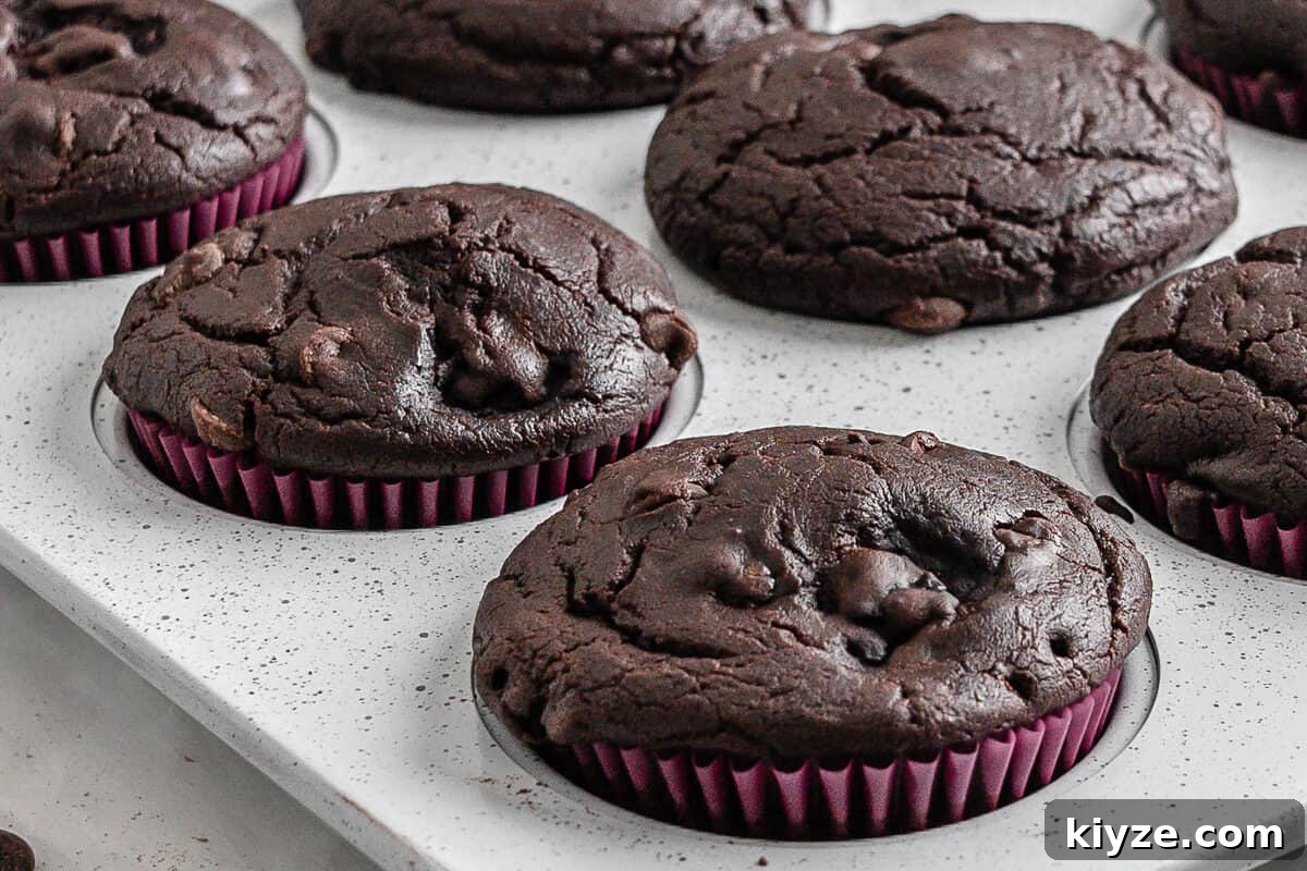 Blackberry Chocolate Cupcakes Recipe with Rich Ganache Filling 12 completed Blackberry Chocolate Cupcakes without icing on top in muffin tin