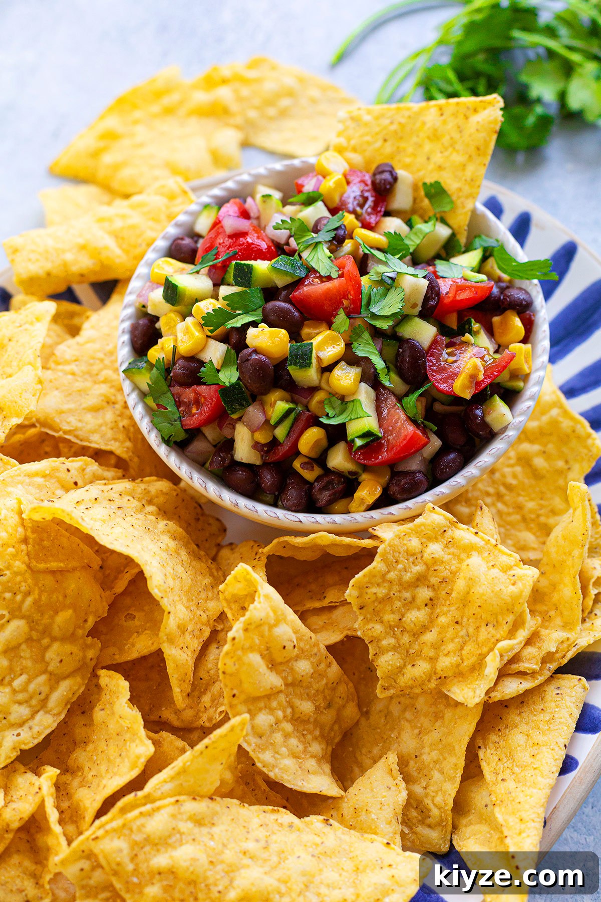 Zucchini Salsa Recipe: Fresh, Spicy, and Ready in Minutes 2 Zucchini Salsa with Chips