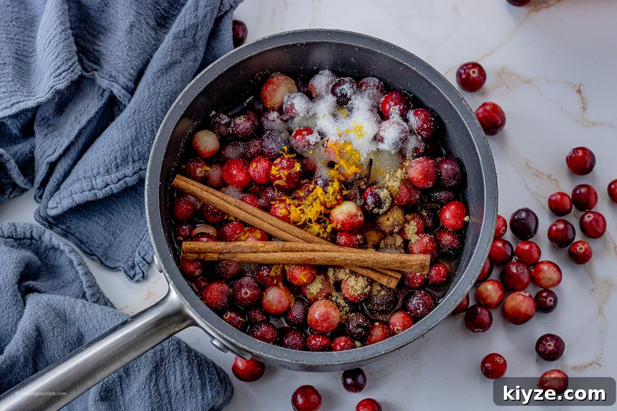 Tangy Cranberry Orange Sauce Recipe for Holiday Feasts 3 fresh cranberries, cinnamon sticks, orange zest, sugar in a saucepan to make cranberry sauce