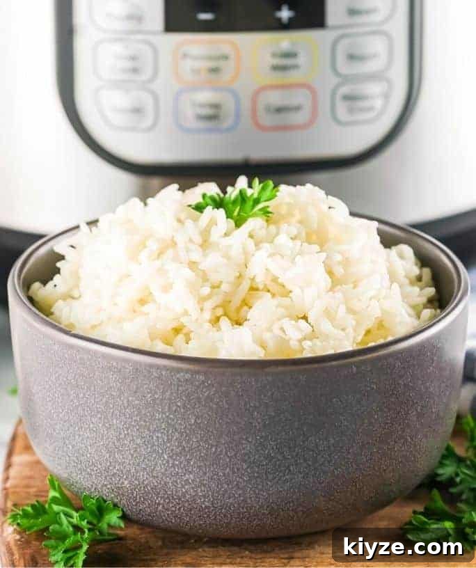 Top Instant Pot Asian Recipes for Flavorful Weeknight Meals 14 bowl of Instant Pot white rice in front of a cooker
