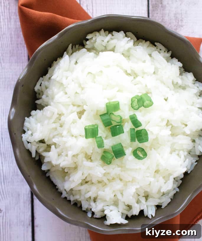 Top Instant Pot Asian Recipes for Flavorful Weeknight Meals 15 brown bowl with jasmine rice