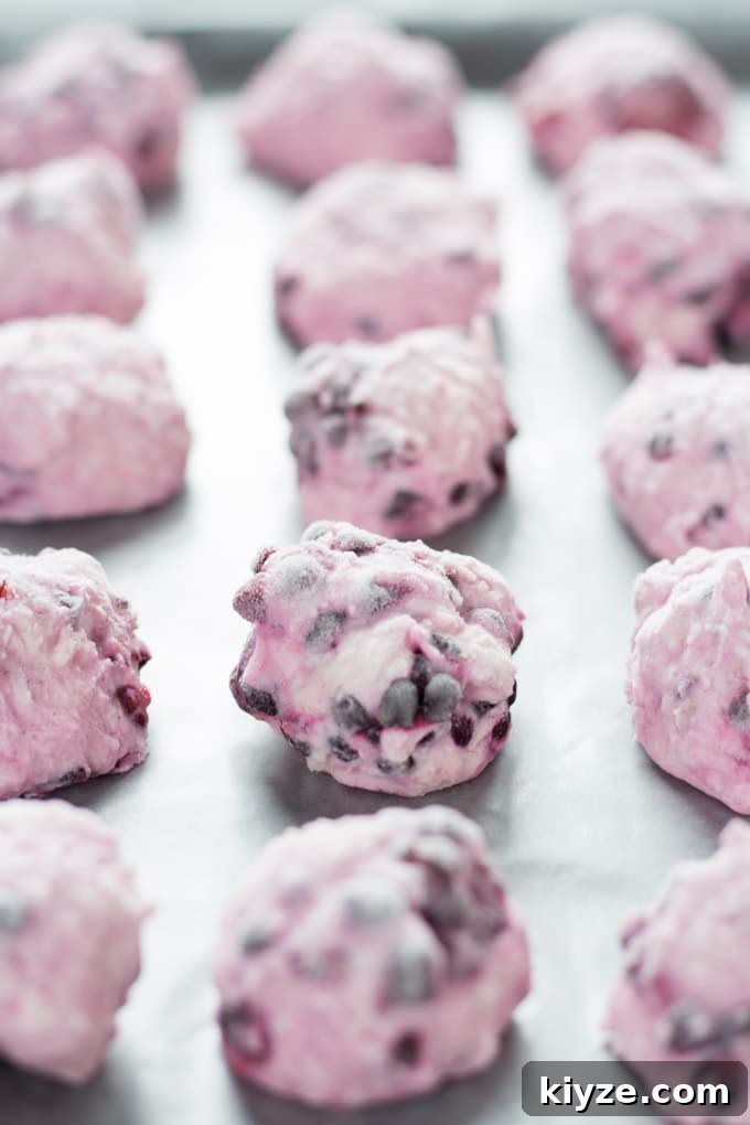 Frozen Blackberry Goat Cheese Chocolate Truffles 4 Frozen Blackberry Goat Cheese Chocolate Bombs