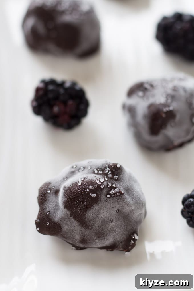 Frozen Blackberry Goat Cheese Chocolate Truffles 5 Frozen Blackberry Goat Cheese Chocolate Bombs