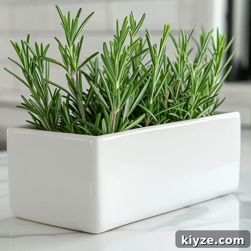 Fresh Rosemary Guide: How to Prep, Cook, and Store Herb Successfully 4 Fresh rosemary in a white rectangular planter on a kitchen countertop.