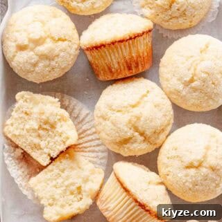 group of buttermilk muffins on white background.