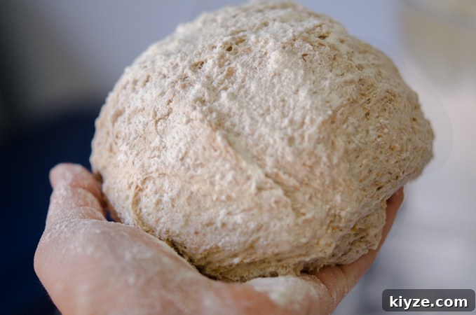 Take a portion of the dough and form into a ball.