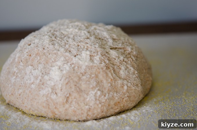 Dust the dough ball with extra flour for the second rise.